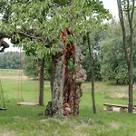 別荘 Vilanovka - Z Prywatna Balia Przy Stawie I Lesie Wilanowo (Kartuzy)