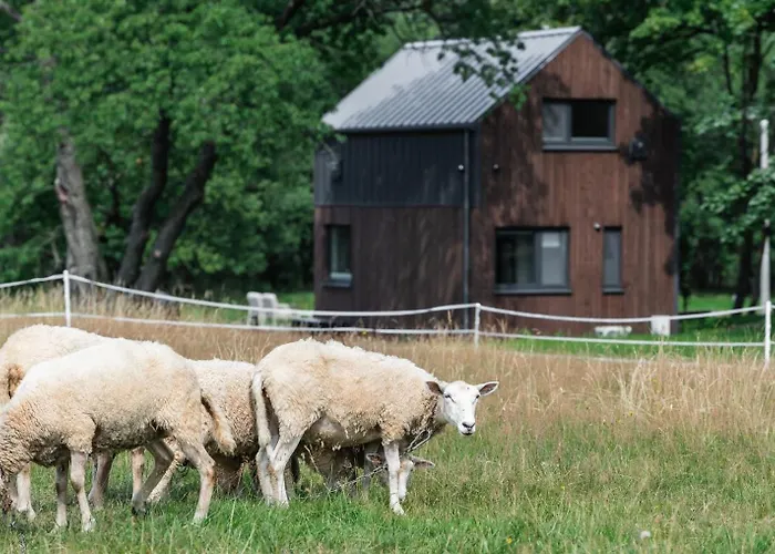 Vilanovka - Z Prywatna Balia Przy Stawie I Lesie Prázdninový dům Wilanowo (Kartuzy)