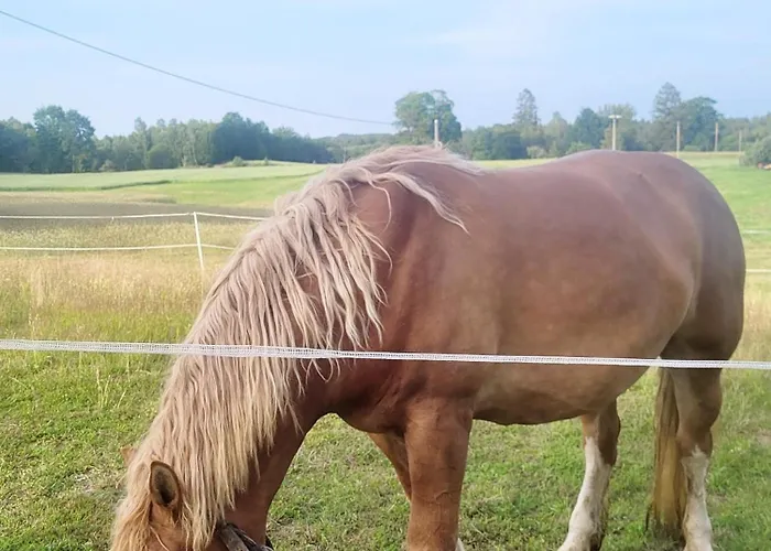 Prázdninový dům Vilanovka - Z Prywatna Balia Przy Stawie I Lesie *